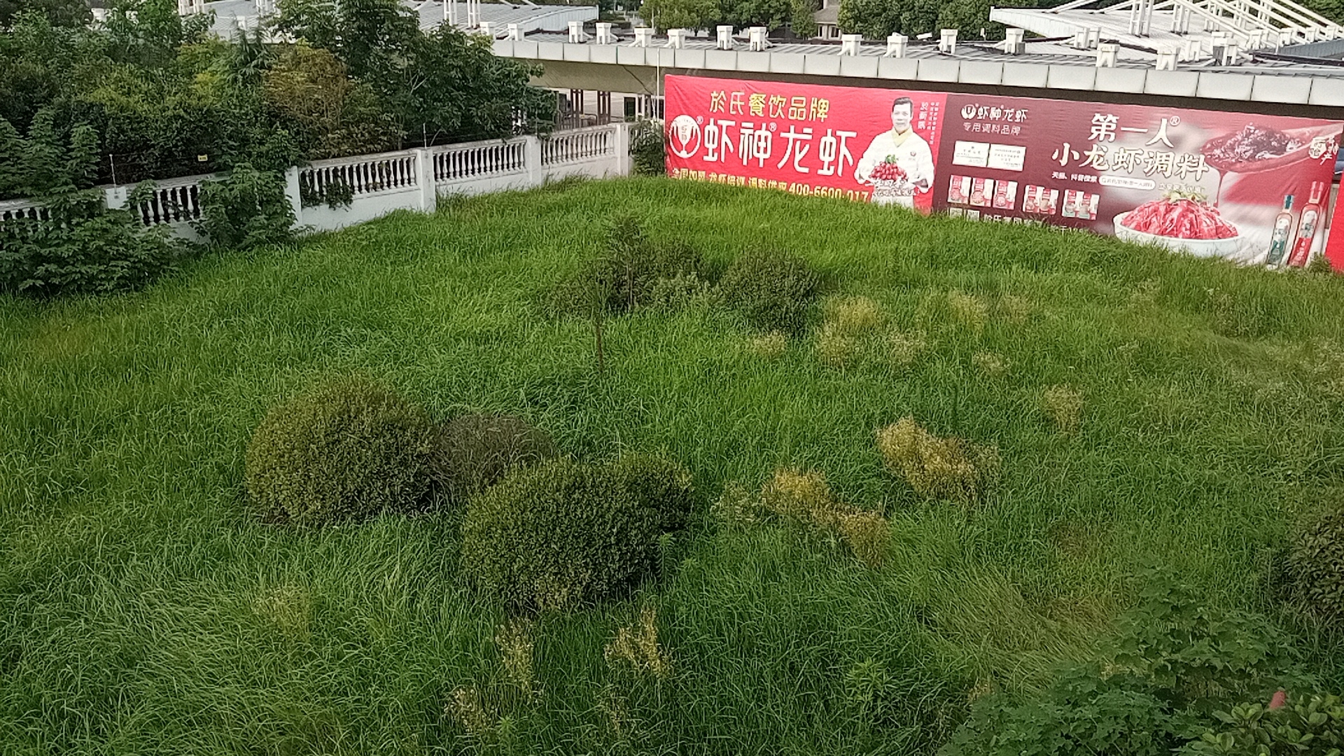 各式商鋪招租